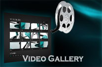 Video Gallery